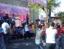 Live Perform Sevenday Band
